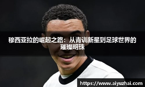 易彩堂官网